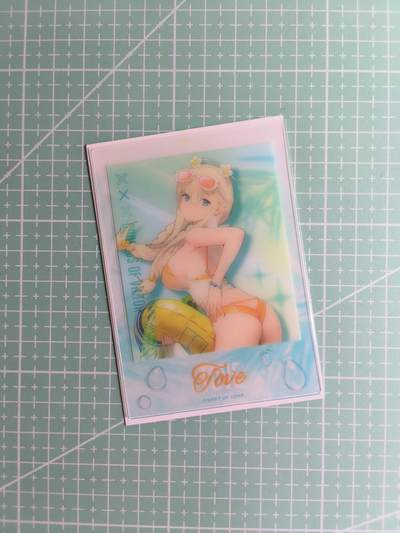 C先生卡牌 第26期 持续收拍品中…零手续费代拍 - 【透卡】胜利女神《NIKKE妮姬》夏日拍立得 限定卡 1张