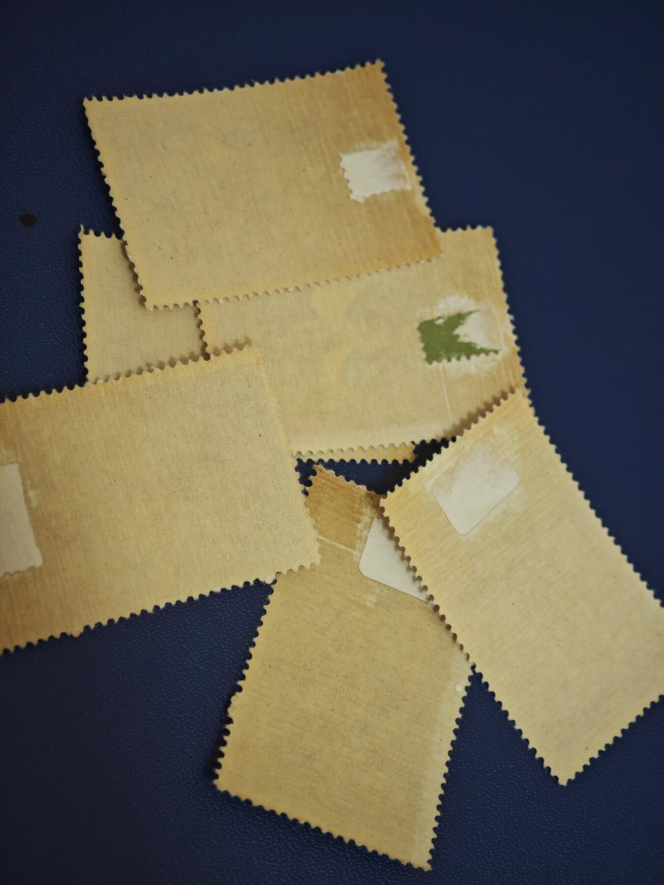 橙子收藏第七期