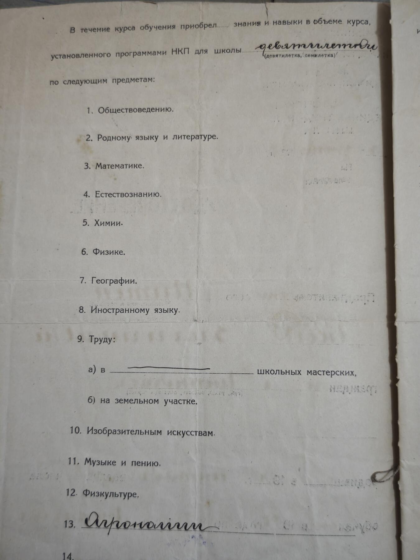 橙子收藏第七期