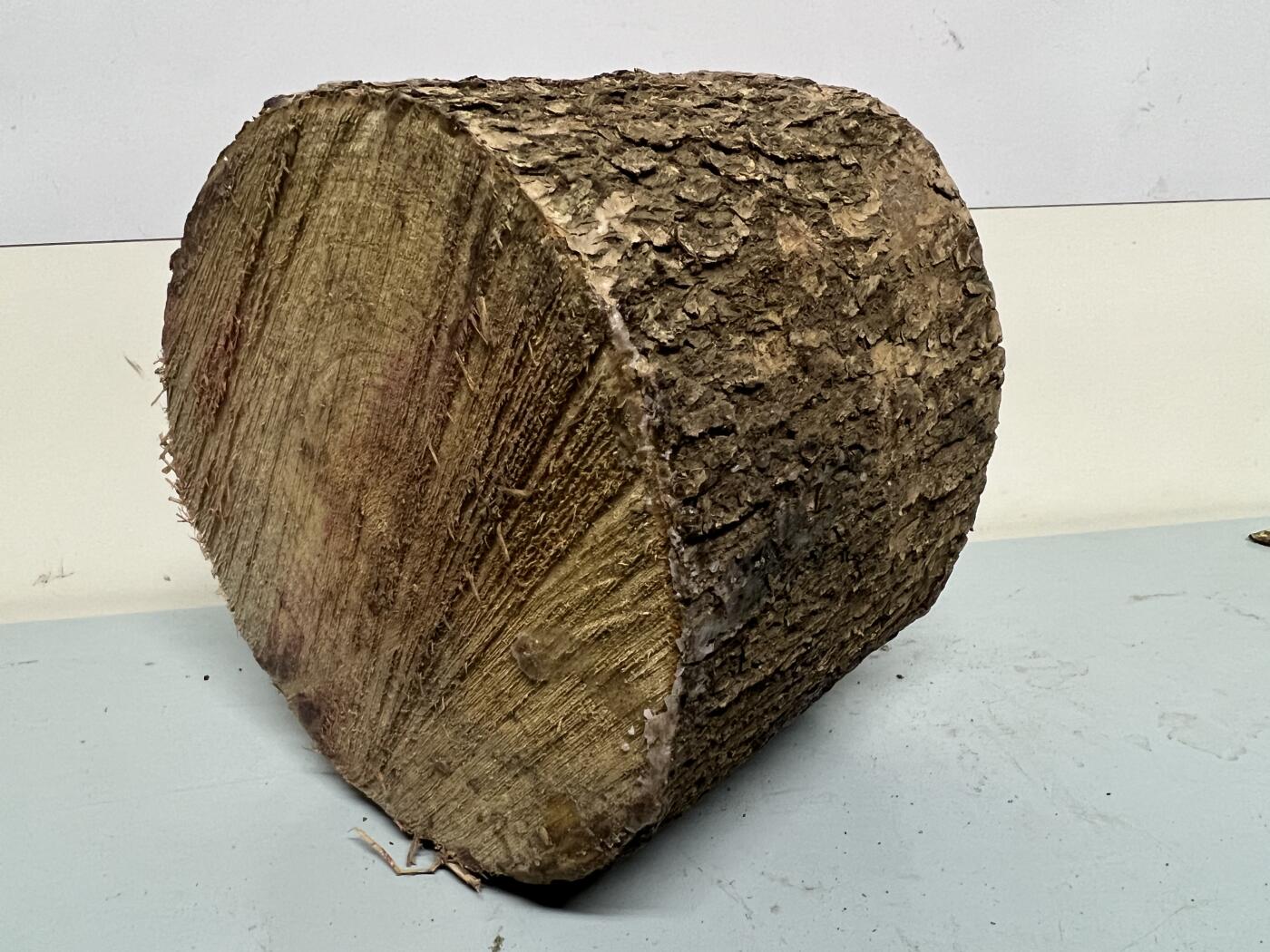 零元拍：金丝楠圆墩凳子摆件，重量3.3公斤。高：200高/190/205MM。抛光后金灿灿满香。最后图为成品效果图，如果带点瘤，意味着花纹更漂亮。抛光后金灿灿满香。最后两图为成品效果。