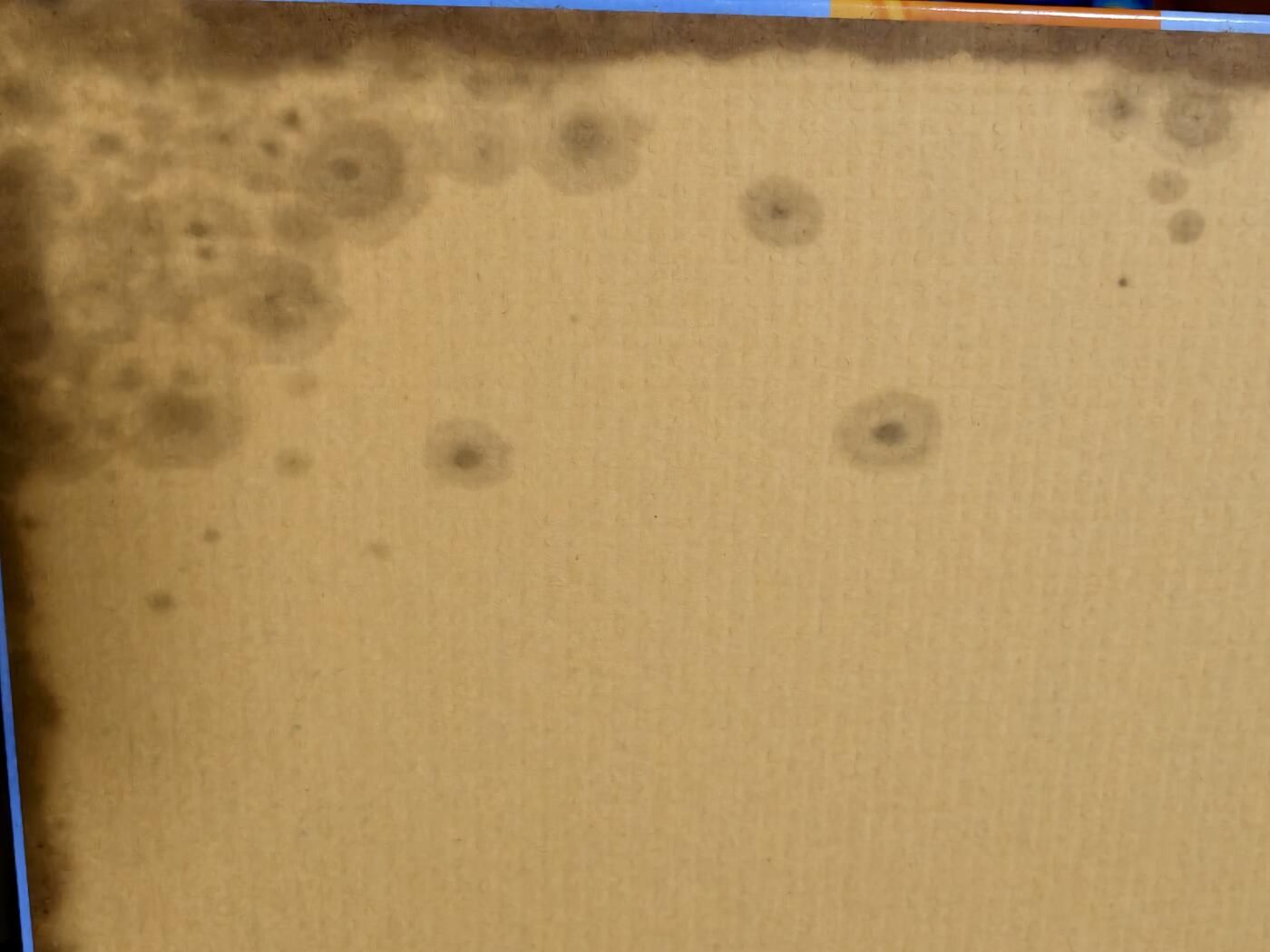 澳洲2000年悉尼運動會紀念章