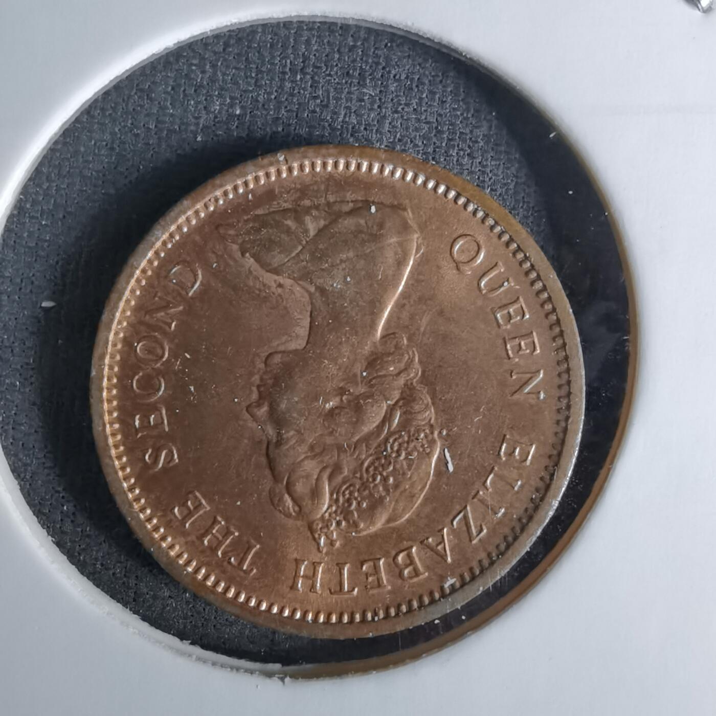 沼泽如烟--第1045场