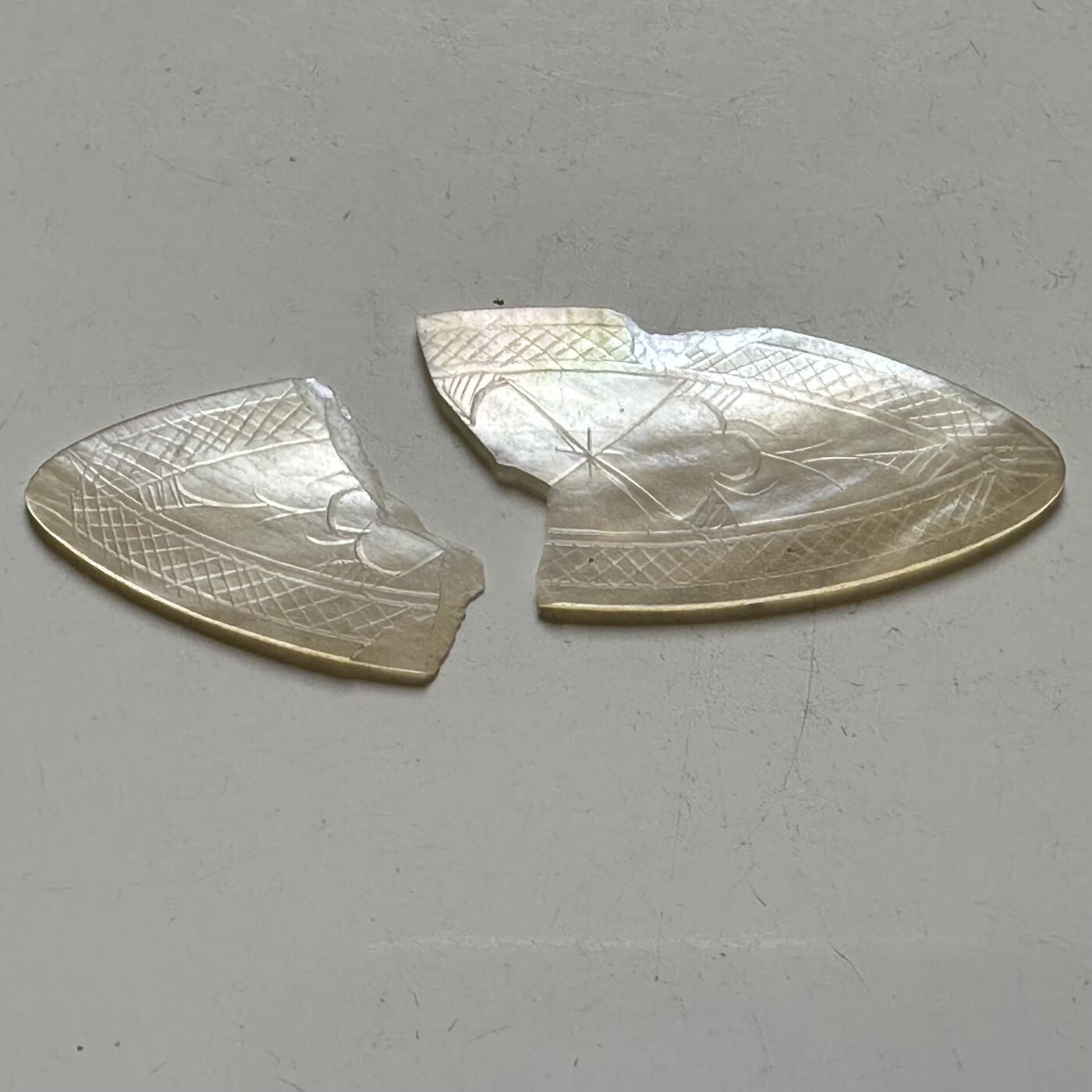 🌹外币初藏🌹🐯2026年第38场   每周二四六晚8️⃣点 世界钱币