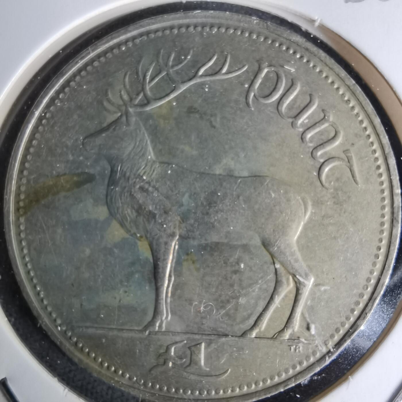 沼泽如烟--第1045场