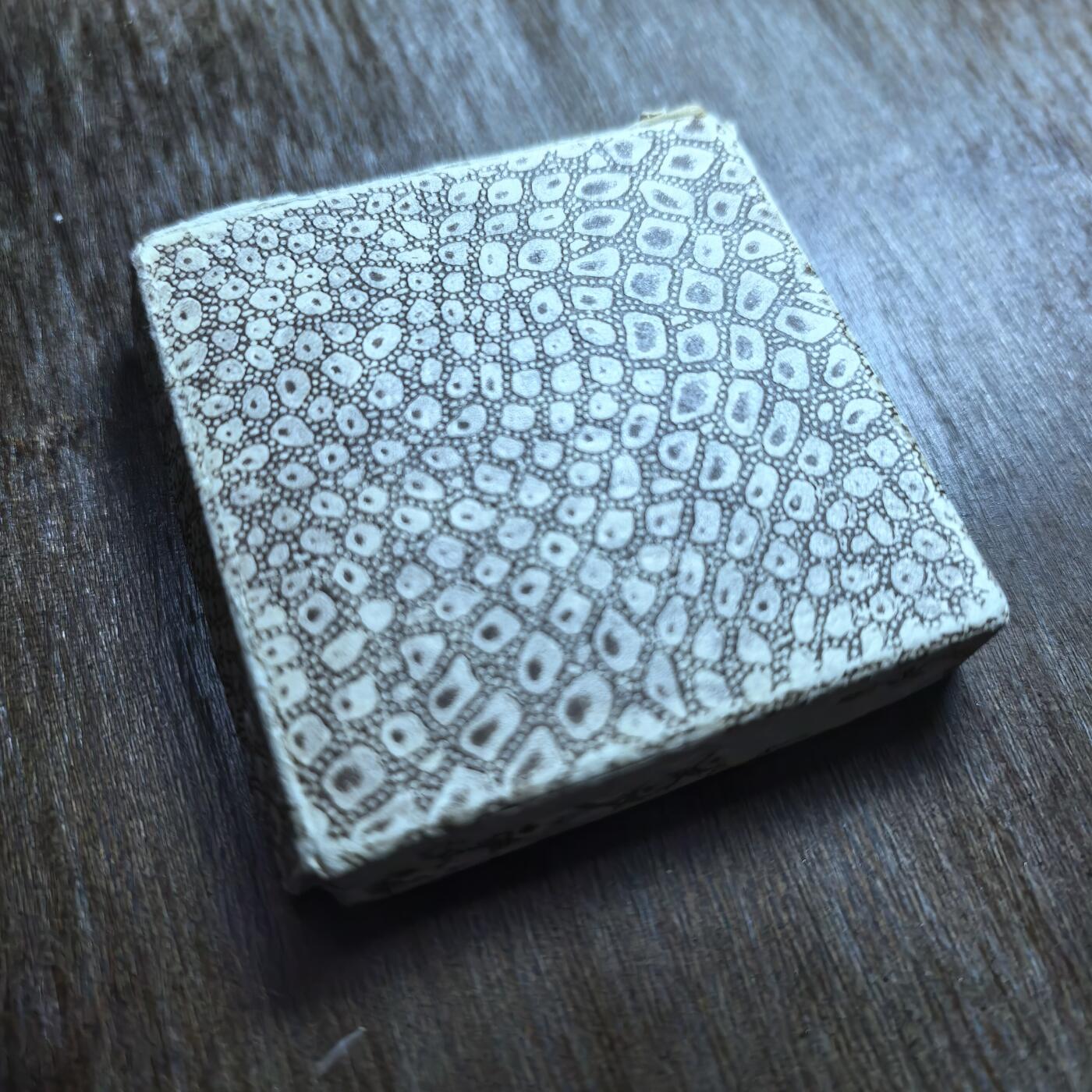 英国Amateur Gardening「业余园艺」主题园艺功绩铜质奖章 