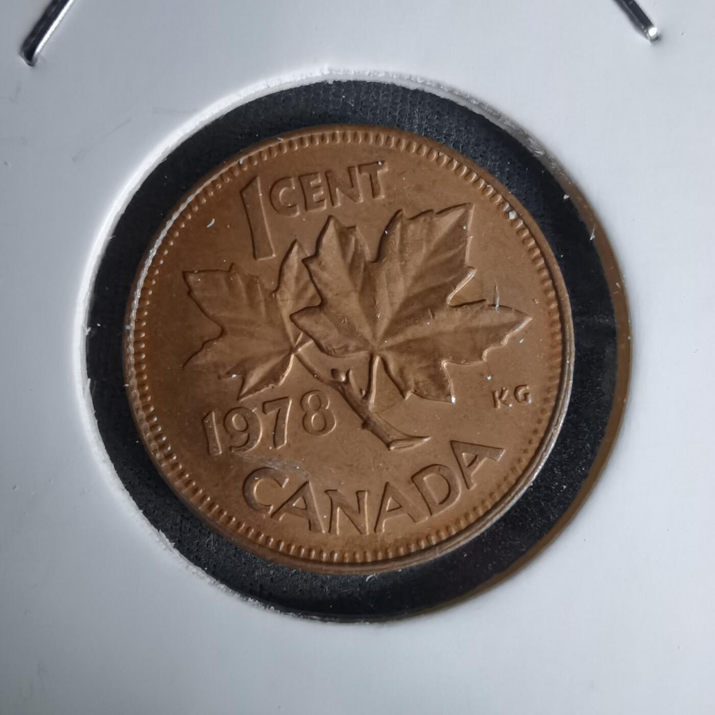 沼泽如烟--第1045场