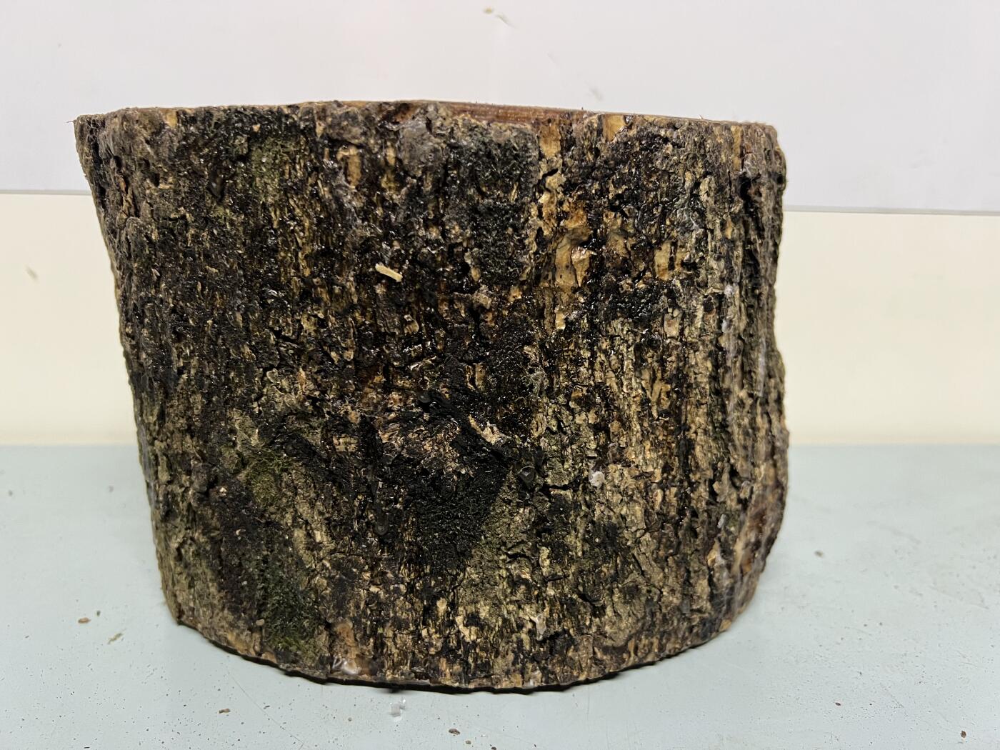 零元拍：金丝楠圆墩子摆件茶台，重量3.5公斤。140/210/200MM。