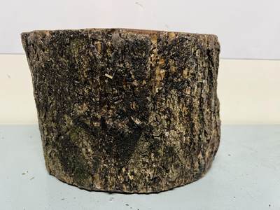 零元拍：金丝楠圆墩子摆件茶台，重量3.5公斤。140/210/200MM。 - 零元拍：金丝楠圆墩子摆件茶台，重量3.5公斤。140/210/200MM。