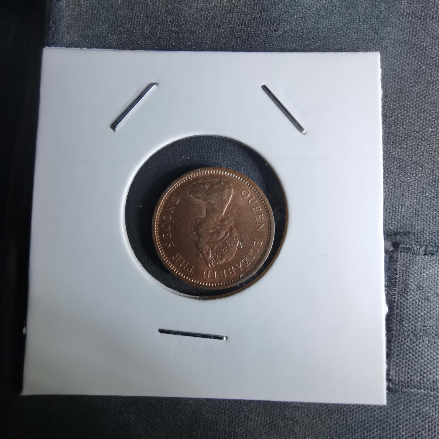 沼泽如烟--第1045场