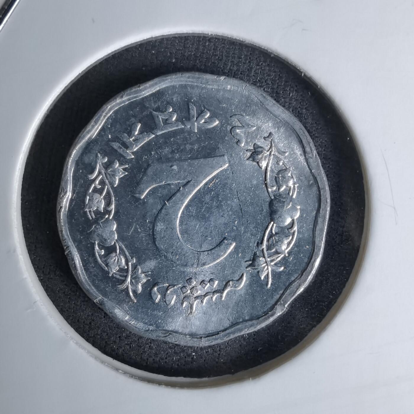 沼泽如烟--第1045场