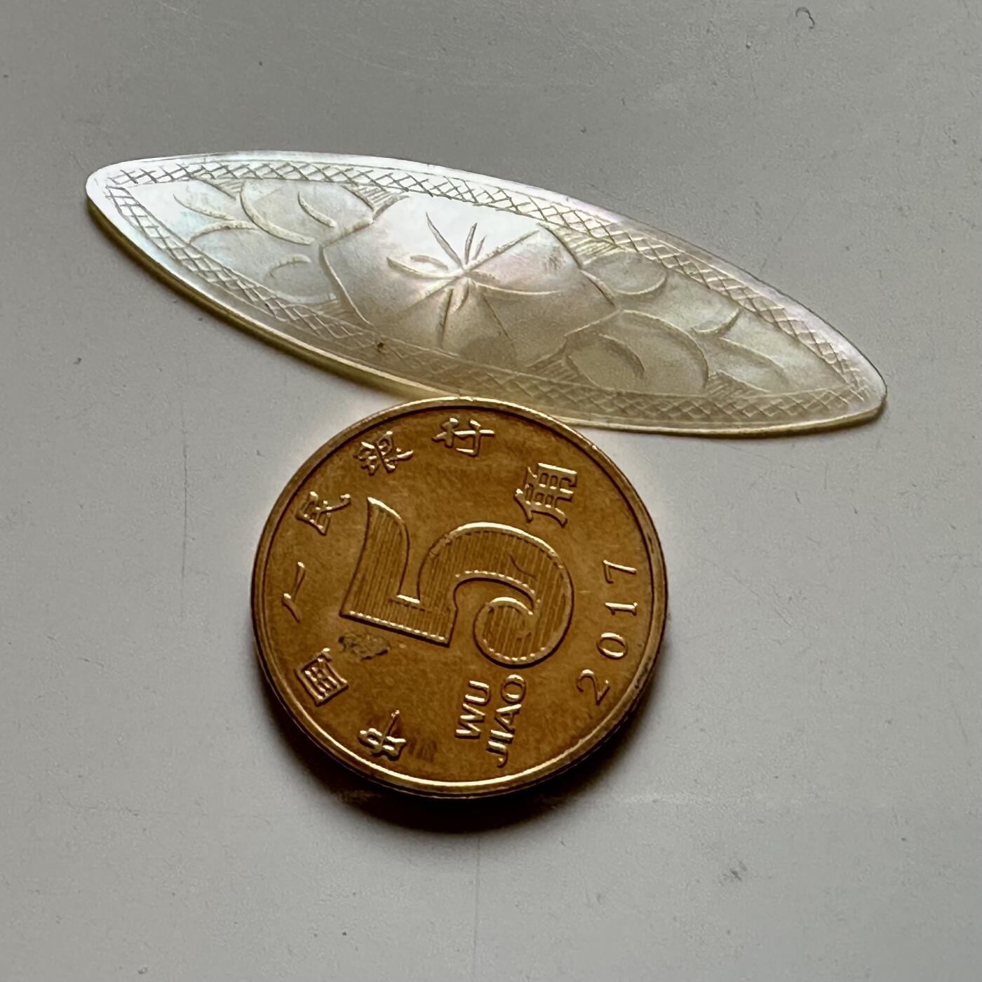 🌹外币初藏🌹🐯2026年第38场   每周二四六晚8️⃣点 世界钱币