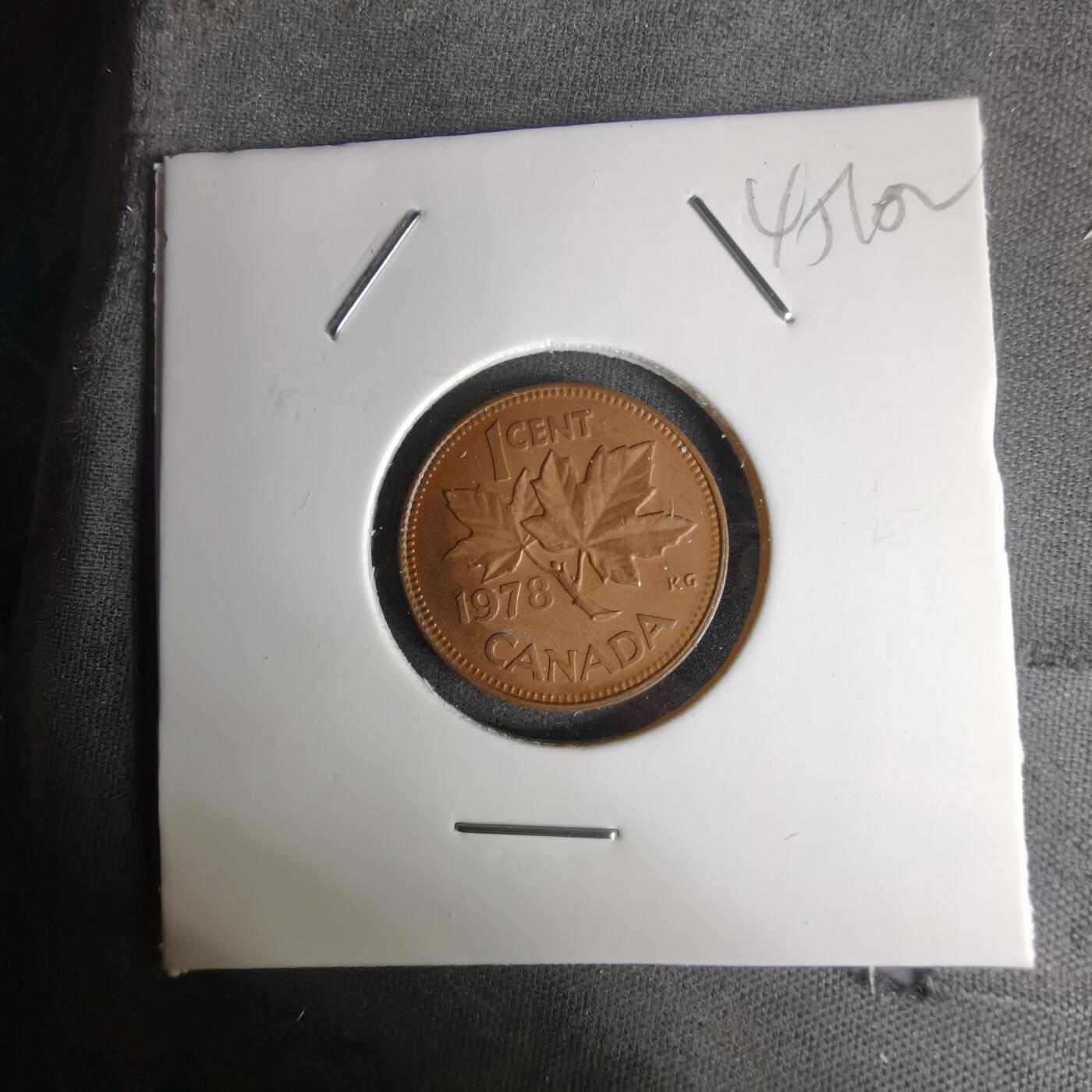 沼泽如烟--第1045场