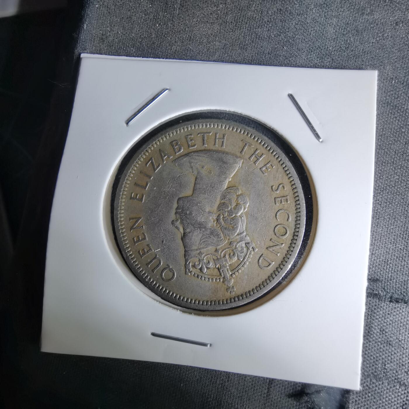 沼泽如烟--第1045场