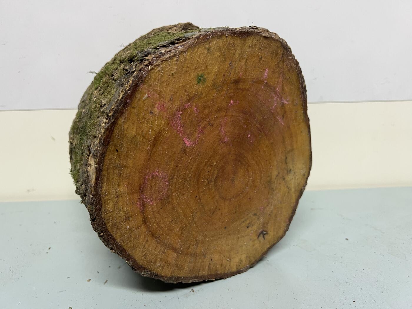 零元拍：金丝楠圆墩子摆件茶台，重量3.5公斤。140/210/200MM。