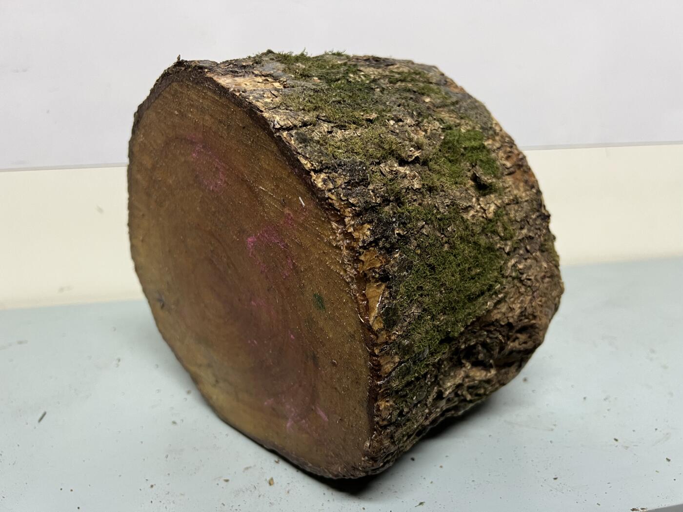 零元拍：金丝楠圆墩子摆件茶台，重量3.5公斤。140/210/200MM。