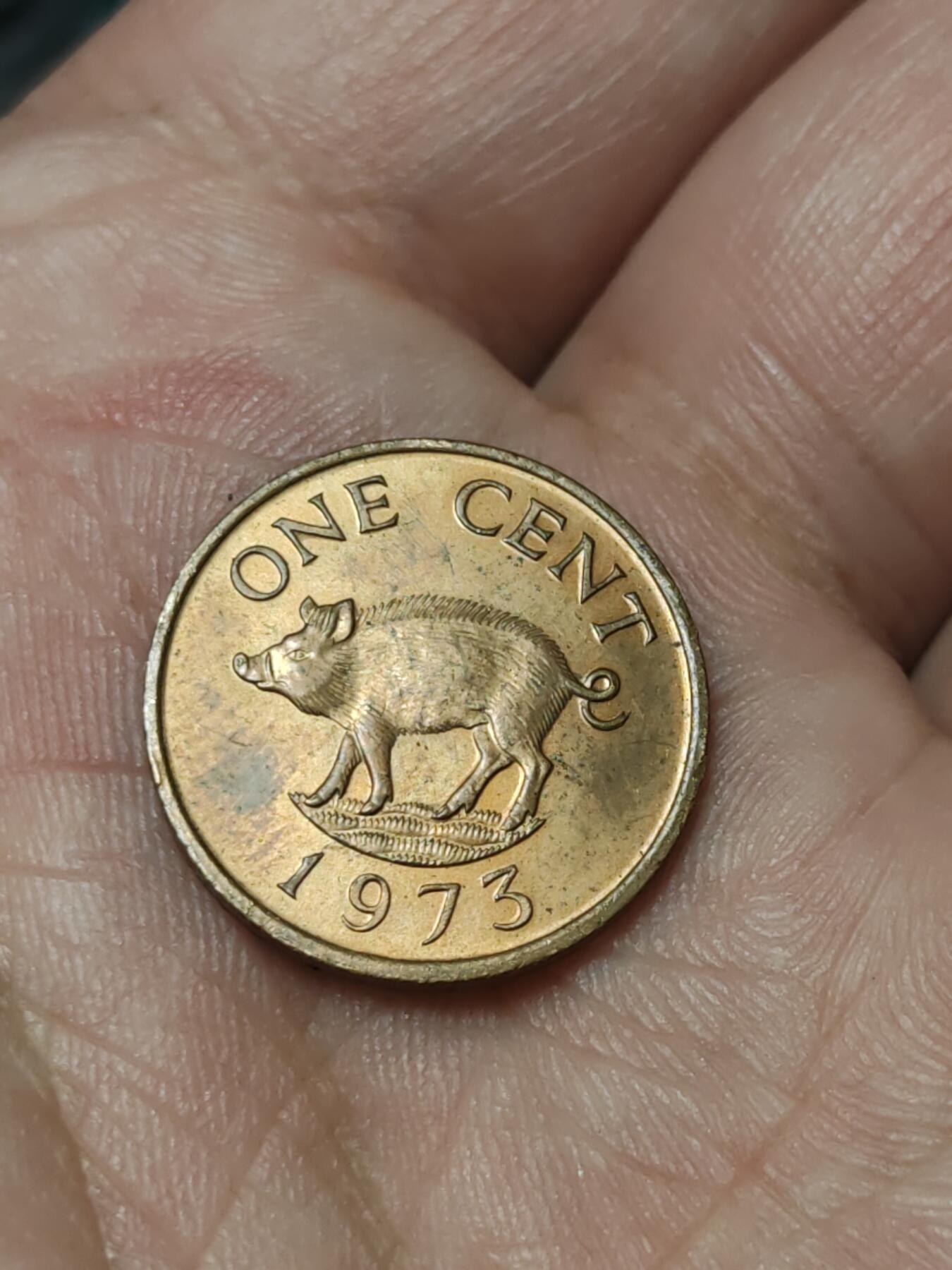 2026年第四十一场(总第二百一十场）外国好品散币场(免佣金)