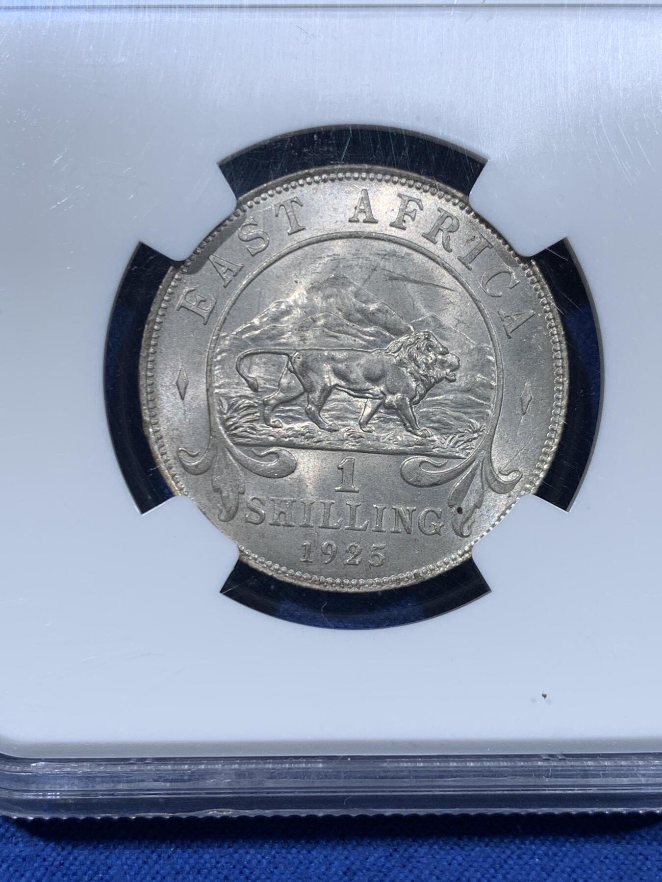 《竞宝斋》第477场 周日，周一 2场连拍 （全场包邮）欢迎送拍 NGC MS63 东非1925年乔治五世1先令银币，原光，最大面值主币。肌肉虬结的雄狮漫步于乞力马扎罗山下，图案设计极富特色。老N盒保障，银光丝滑。此前竞宝斋同分1008元不含佣成交