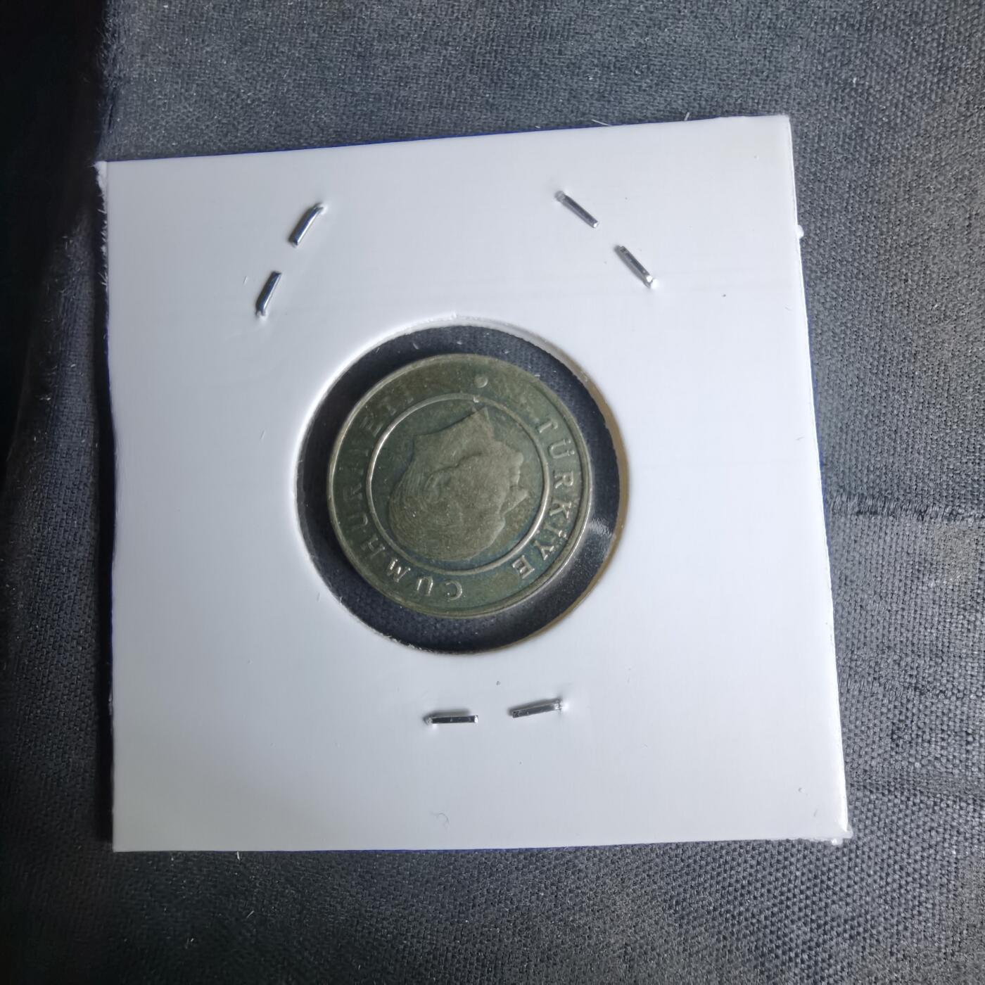 沼泽如烟--第1045场