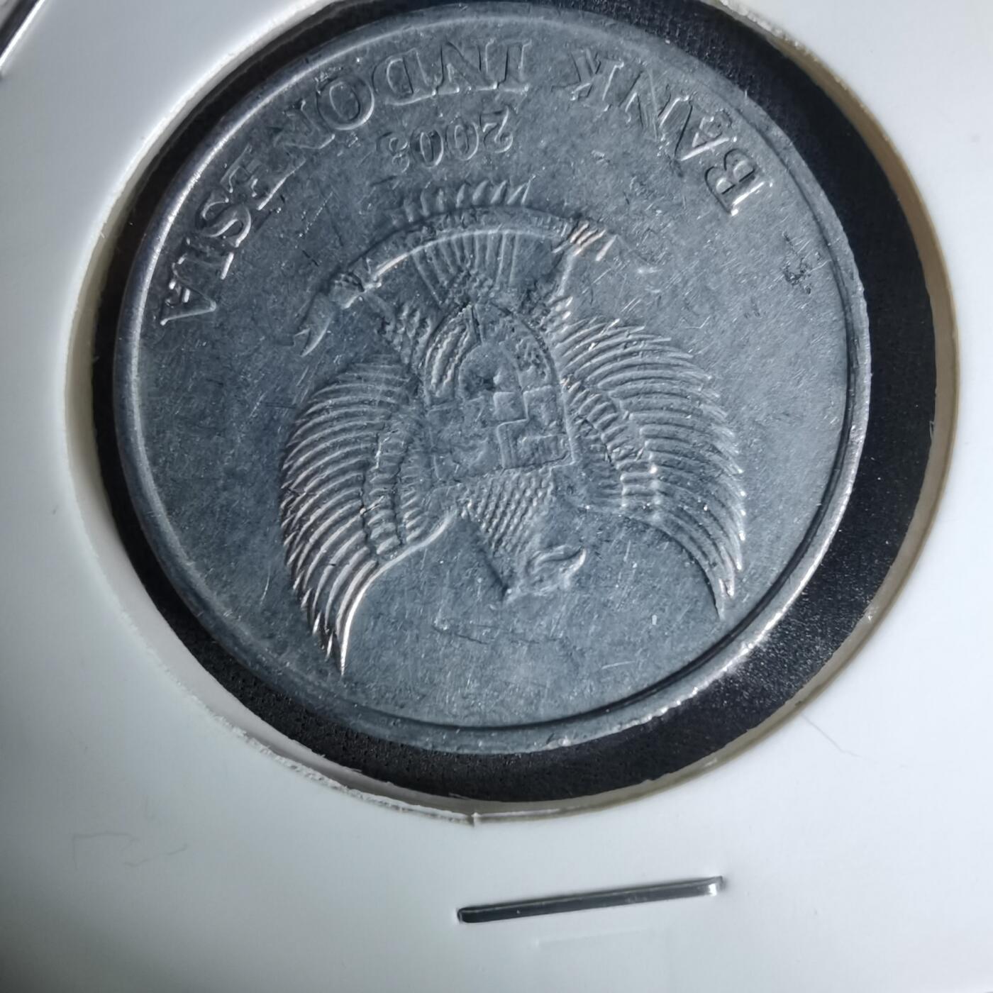 沼泽如烟--第1045场