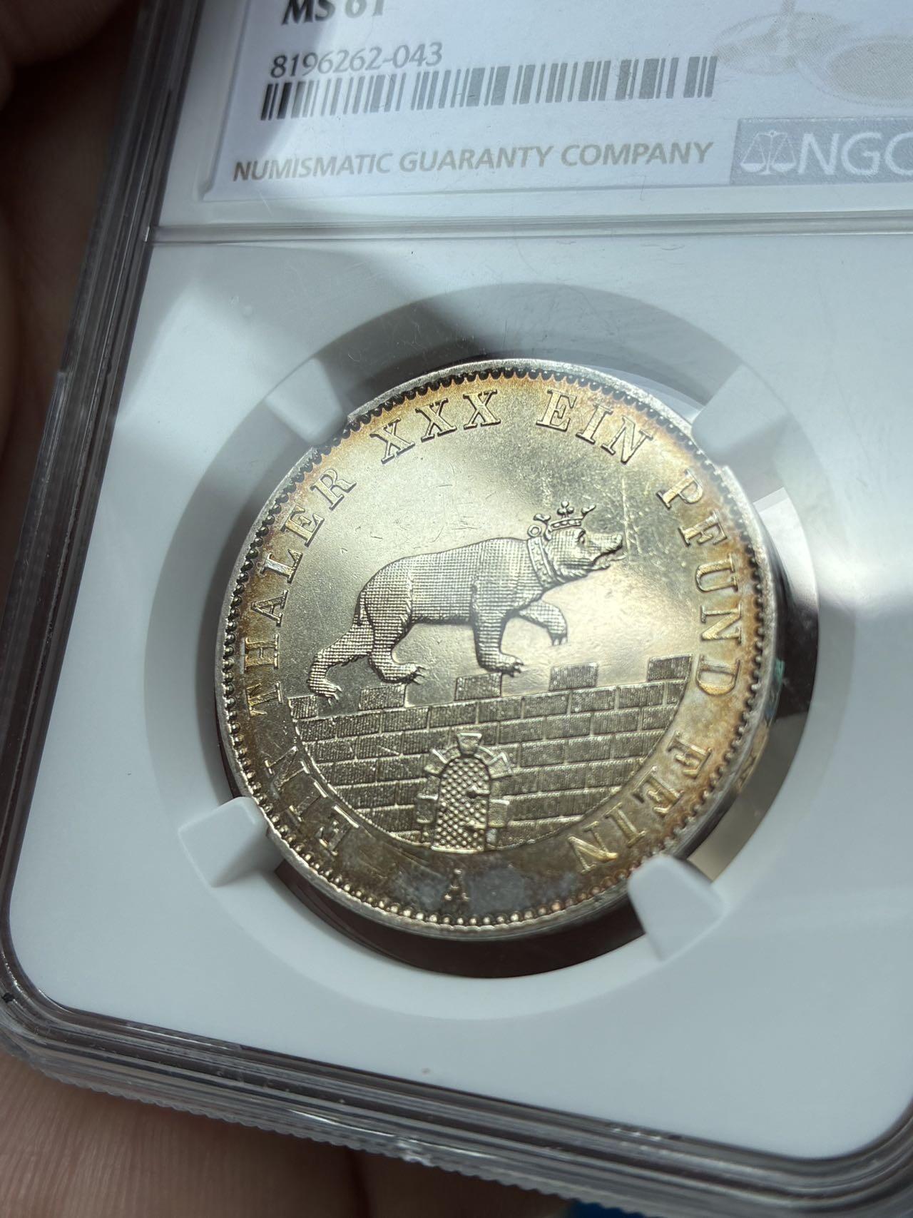 安哈特小熊爬墙泰勒