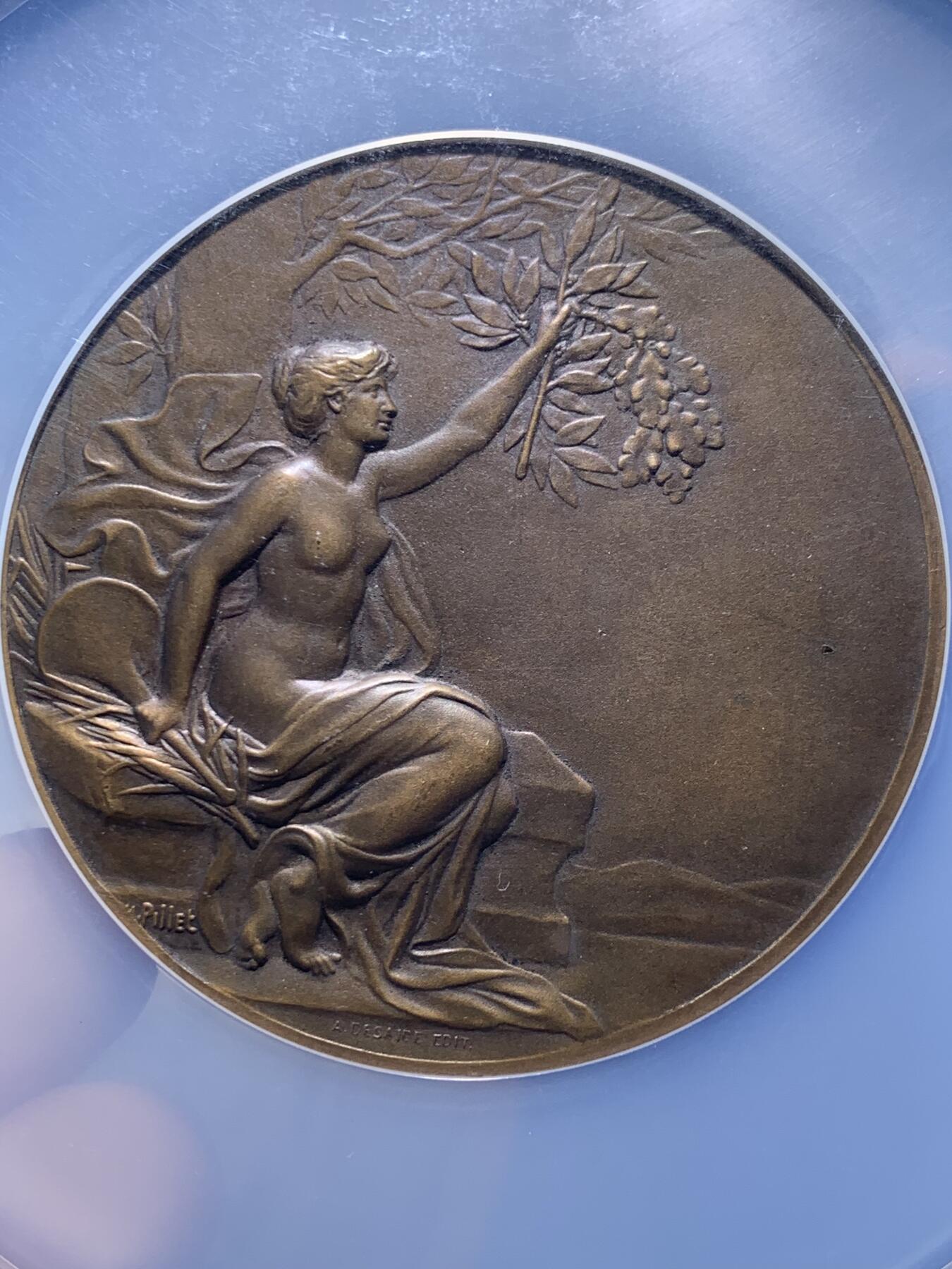 《竞宝斋》第477场 周日，周一 2场连拍 （全场包邮）欢迎送拍 NGC MS63BN 法国1933年索邦大学女子教育协会铜章，59mm 大尺寸，pillet大师作品，见证女性高等教育里程碑，历史意义非凡。加大盒装。