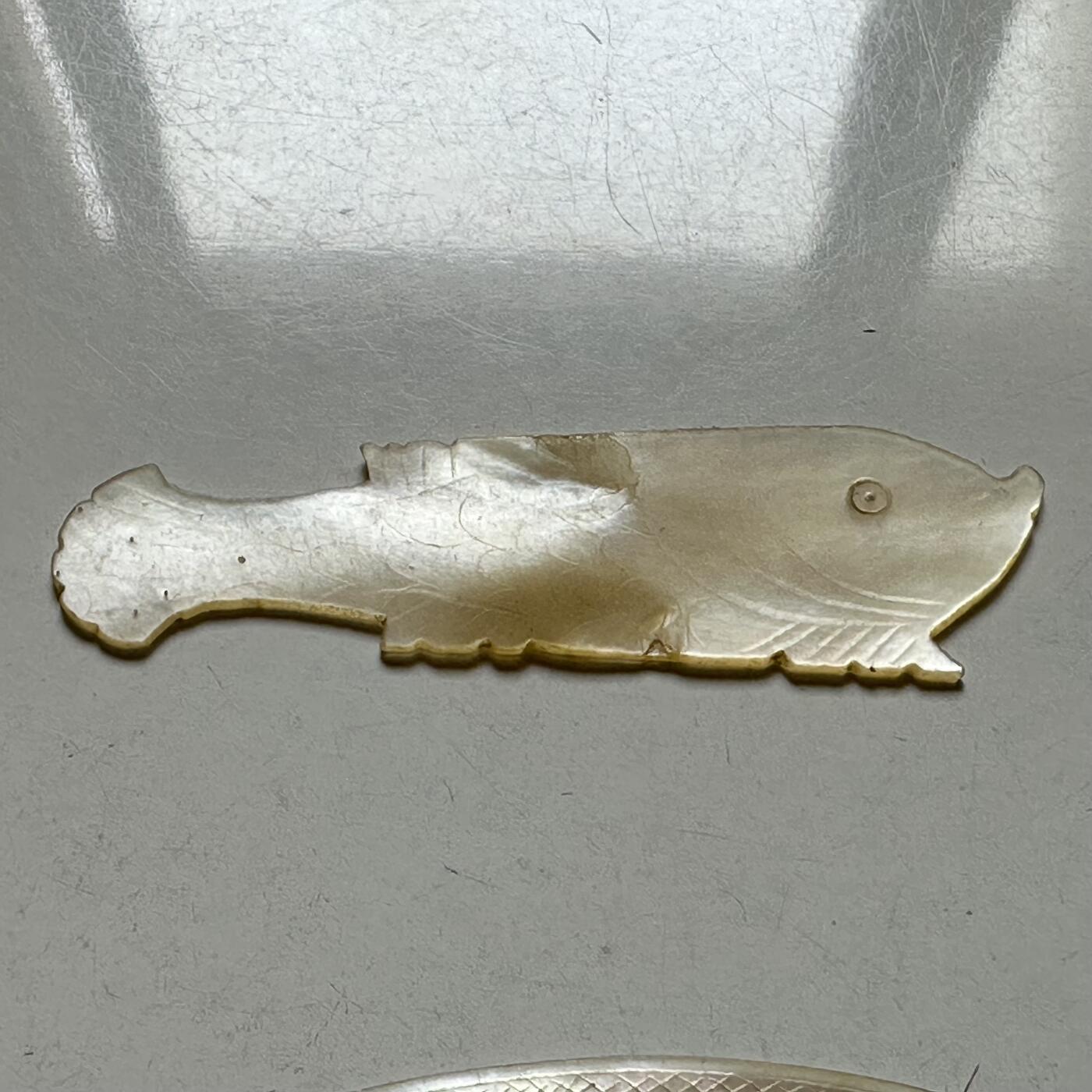 🌹外币初藏🌹🐯2026年第38场   每周二四六晚8️⃣点 世界钱币