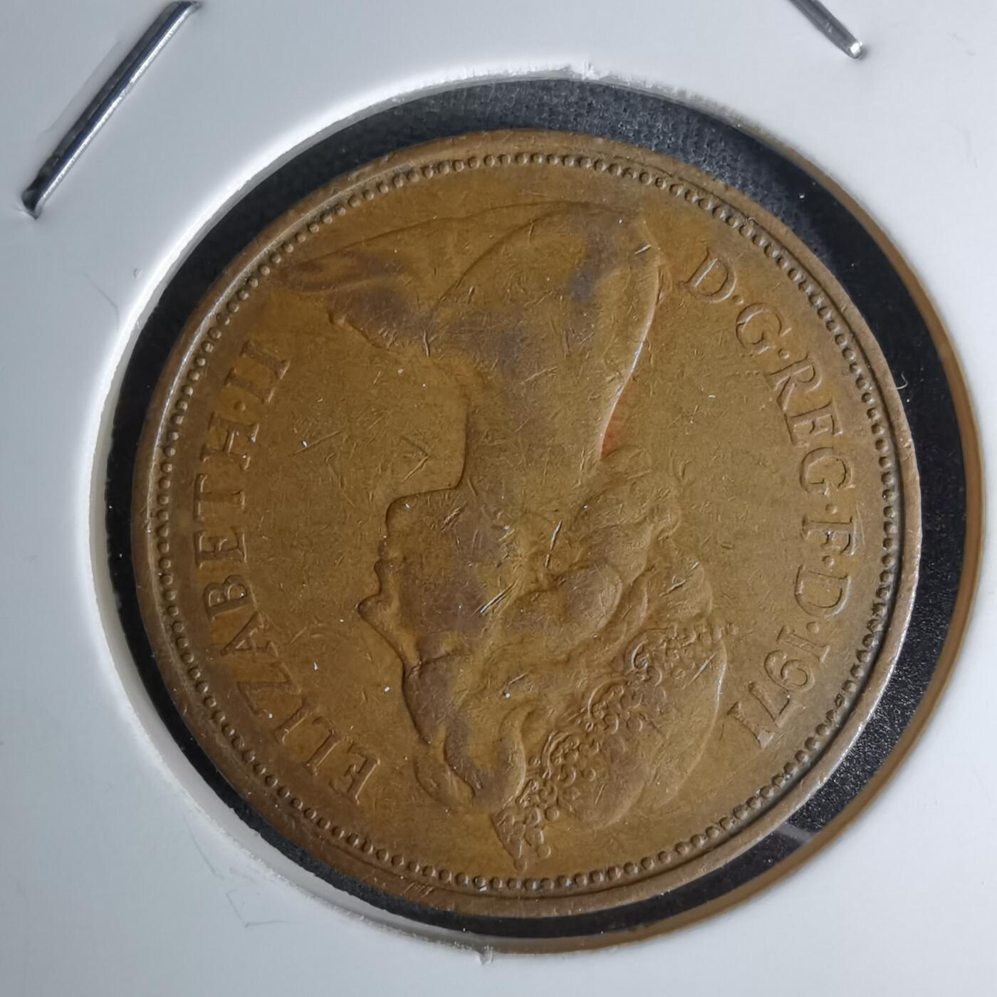 沼泽如烟--第1045场