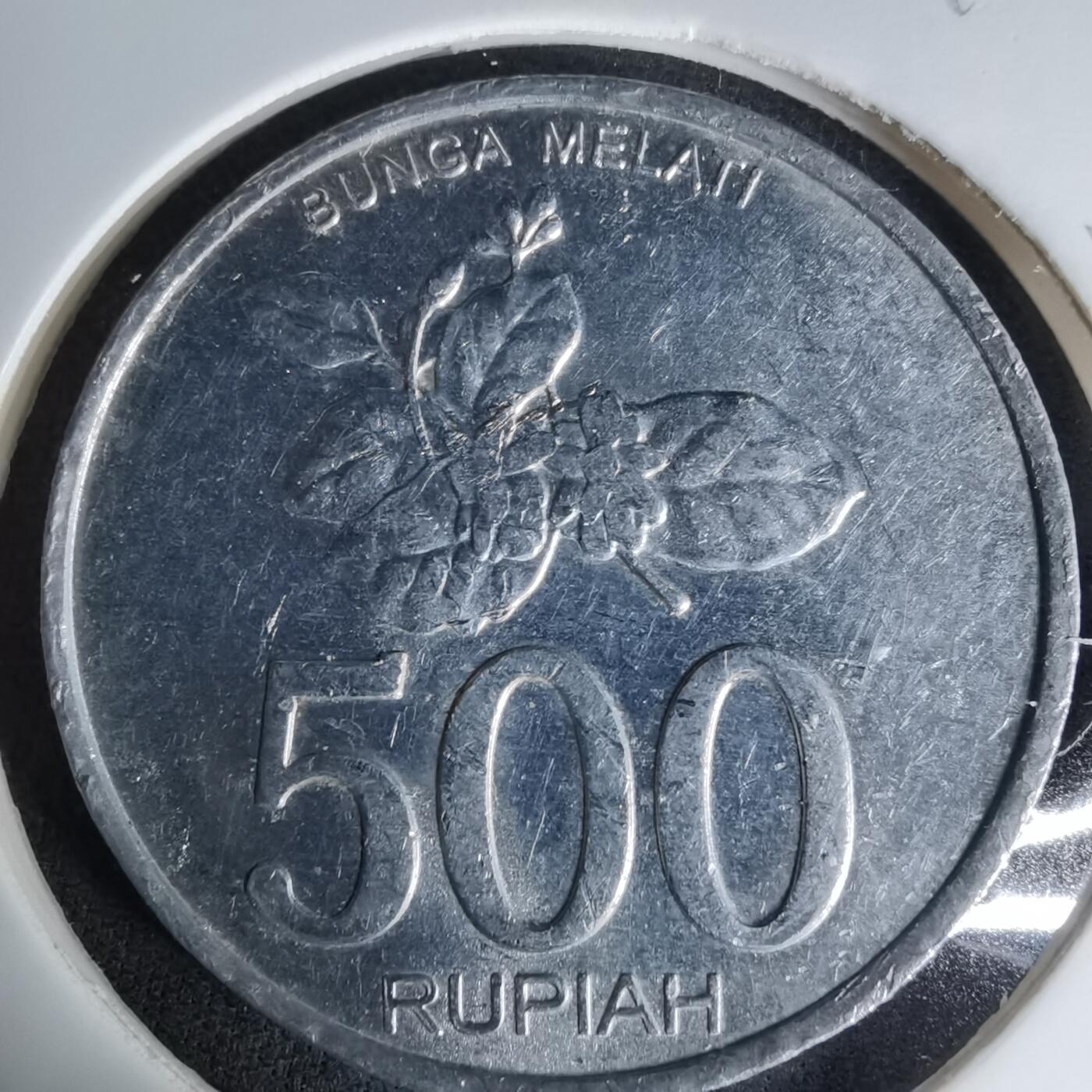 沼泽如烟--第1045场