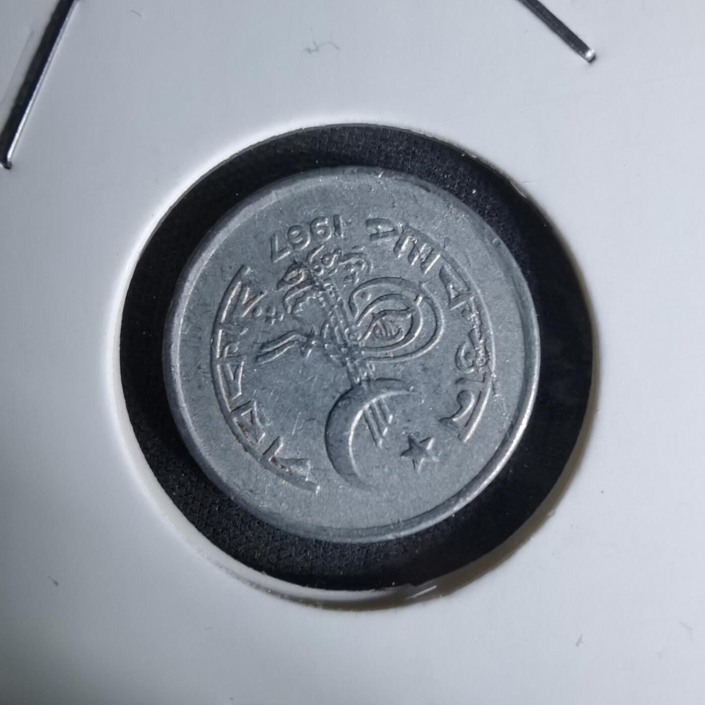 沼泽如烟--第1045场