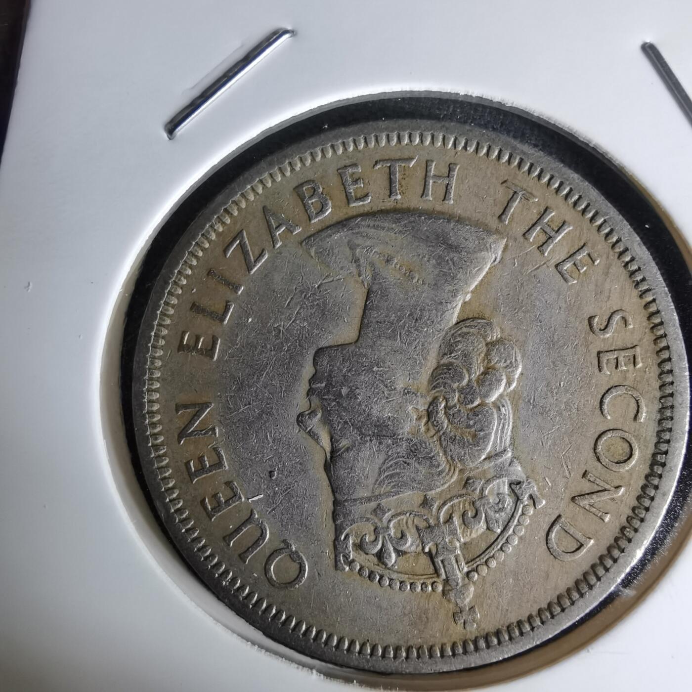 沼泽如烟--第1045场