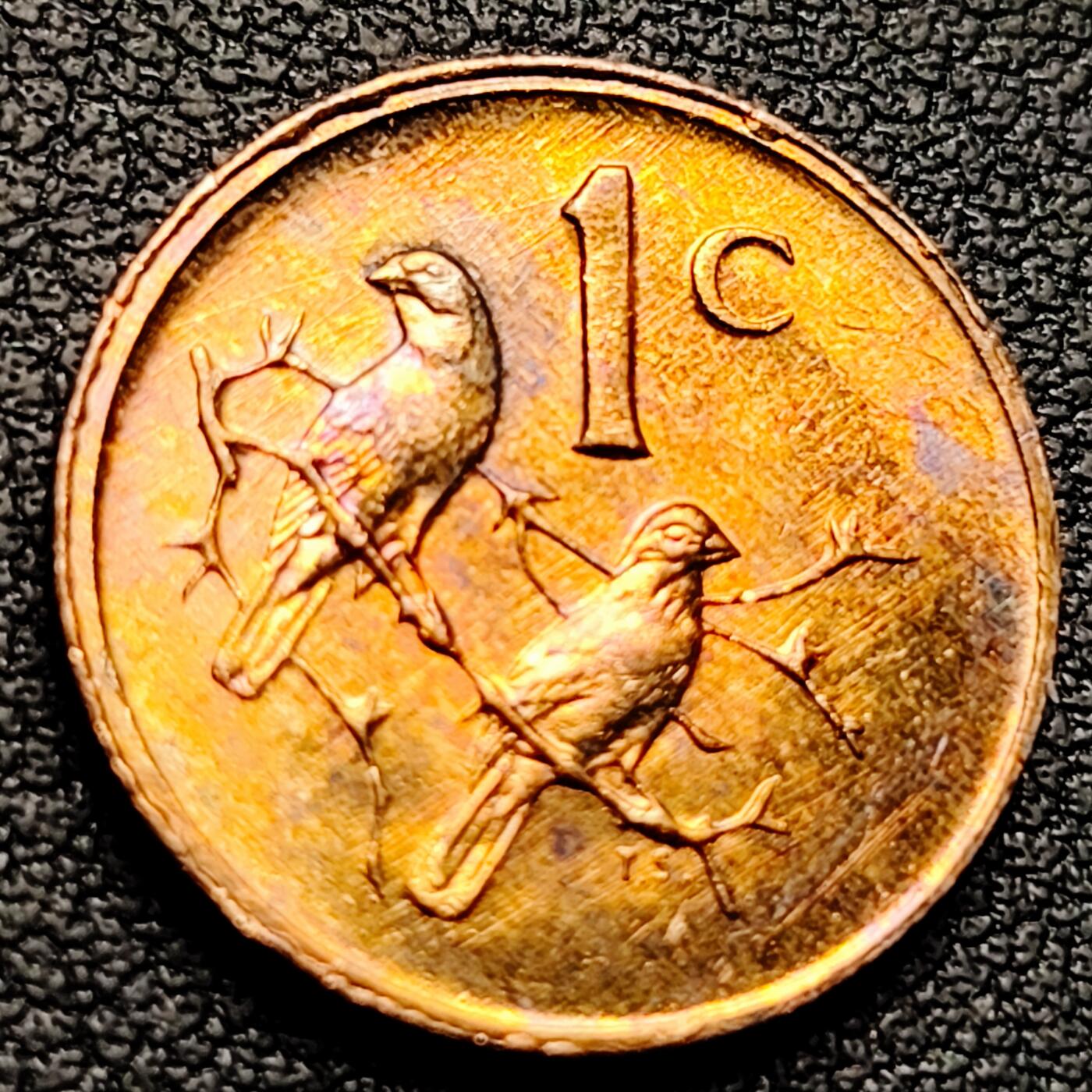 泉币菌-第220场-拍品多 请提前出价 。