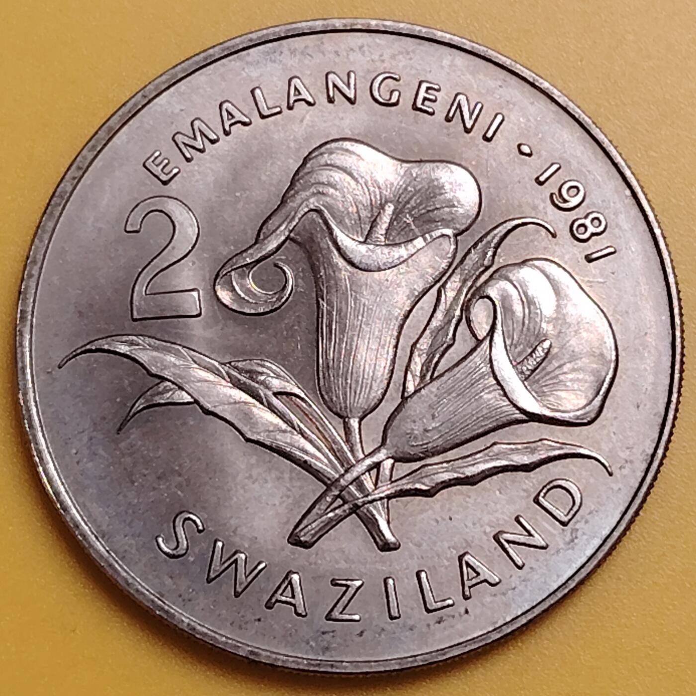 布加迪🐬～世界钱币(上海)🌾第 287 期 /  各国套币和散币 斯威士兰🇸🇿