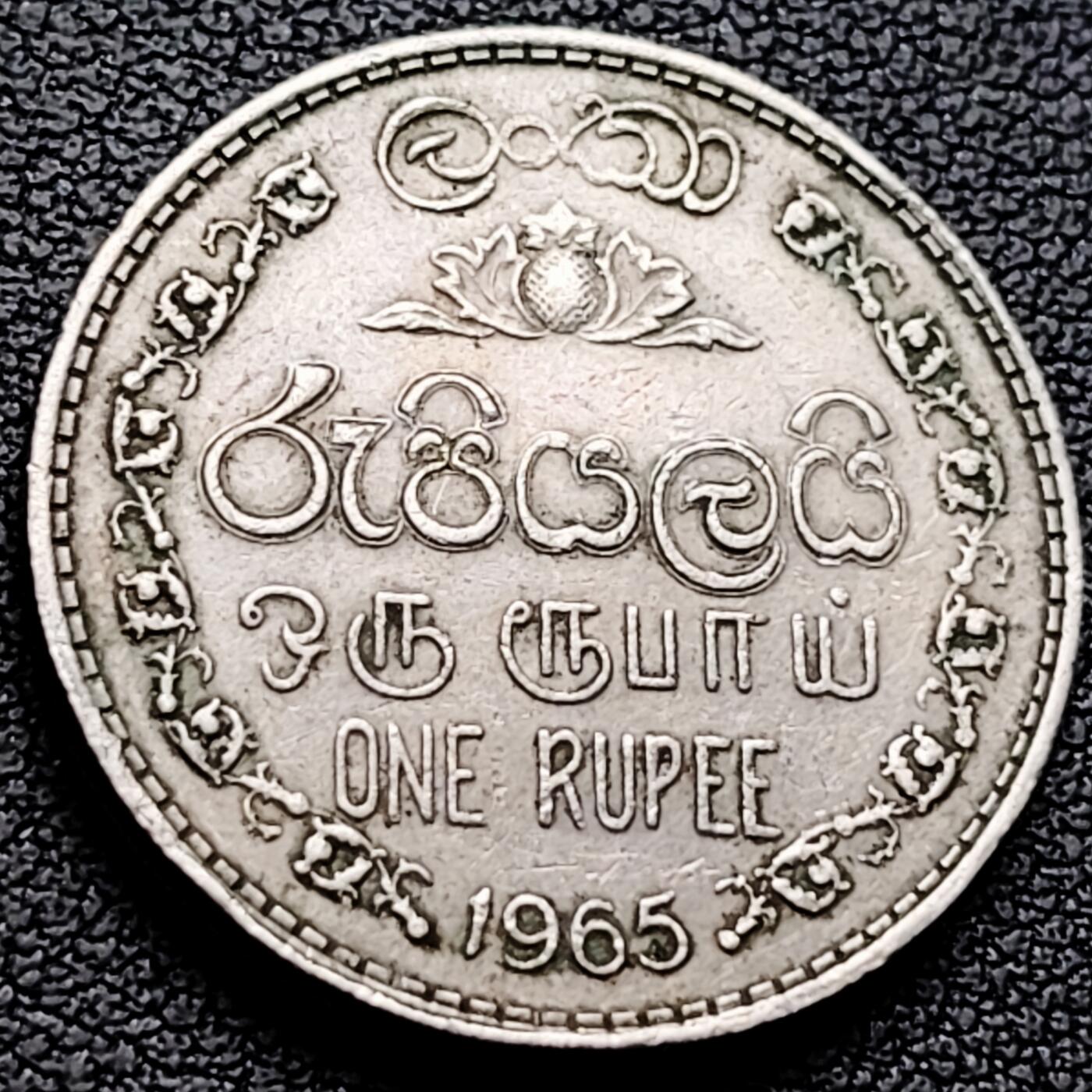 泉币菌-第220场-拍品多 请提前出价 。