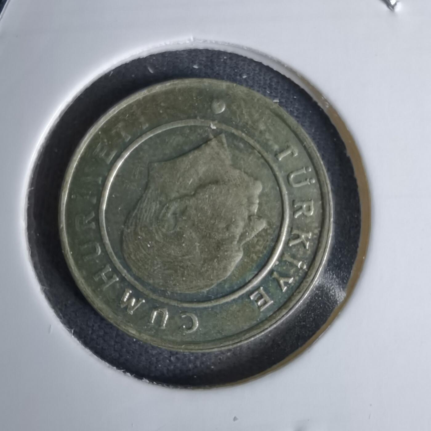 沼泽如烟--第1045场