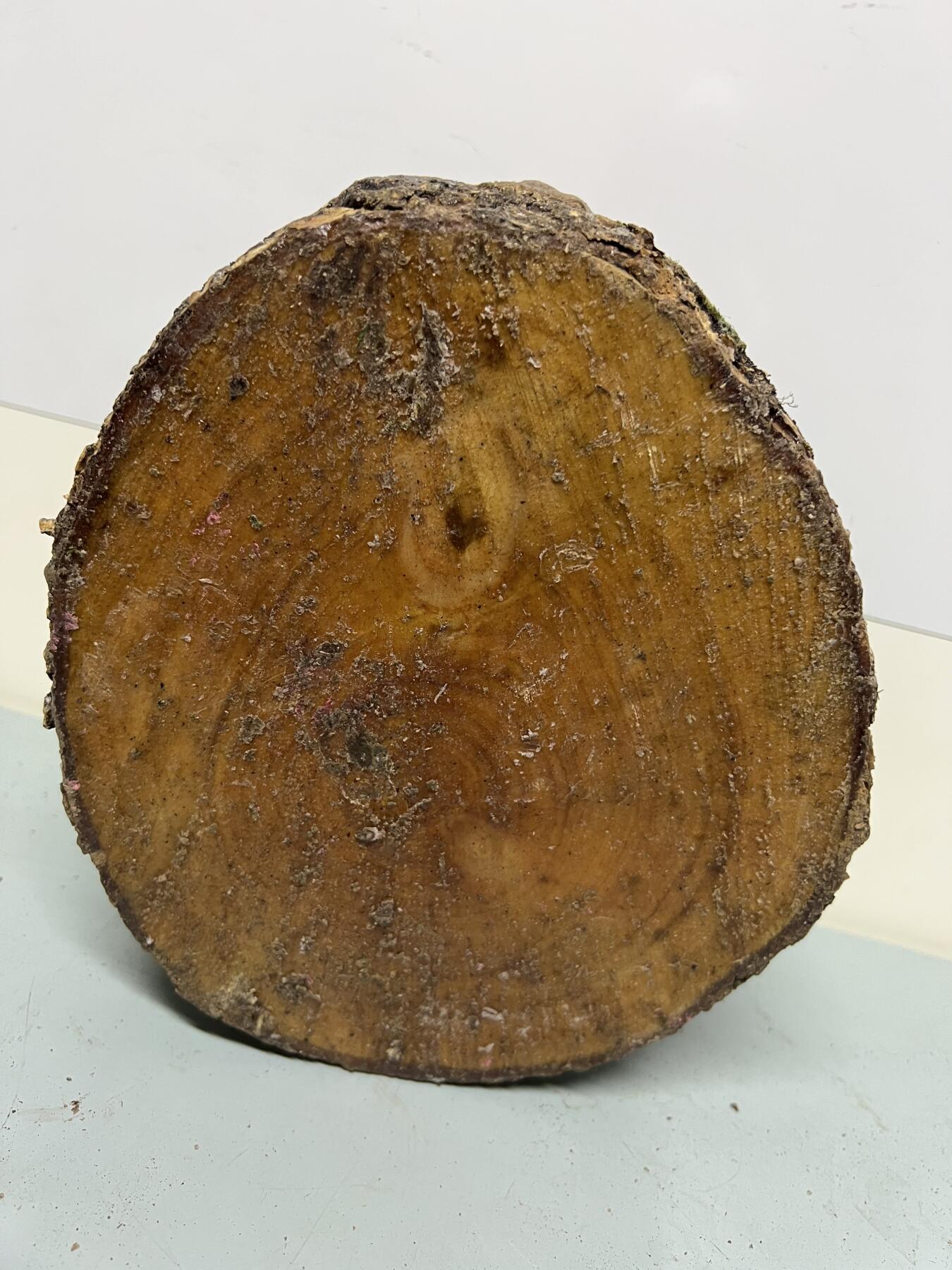 零元拍：金丝楠圆墩子摆件茶台，重量3.5公斤。140/210/200MM。