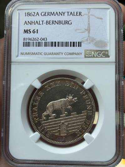 安哈特小熊爬墙泰勒 - 安哈特小熊爬墙泰勒