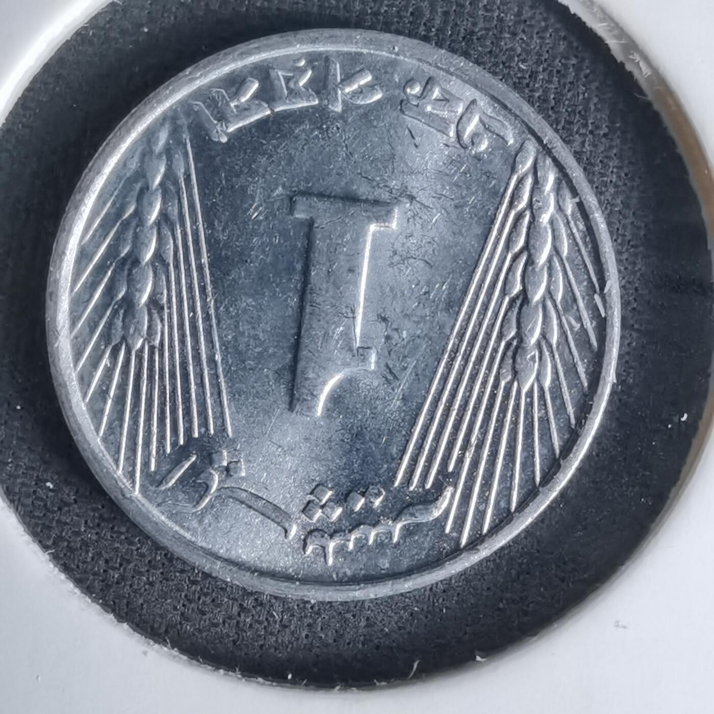 沼泽如烟--第1045场