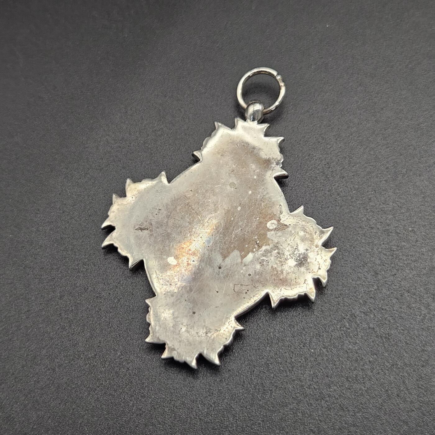 0元起拍勋章 第344期 咸鱼国勋章拍卖专场 4月8日（周三）下午6：00开始