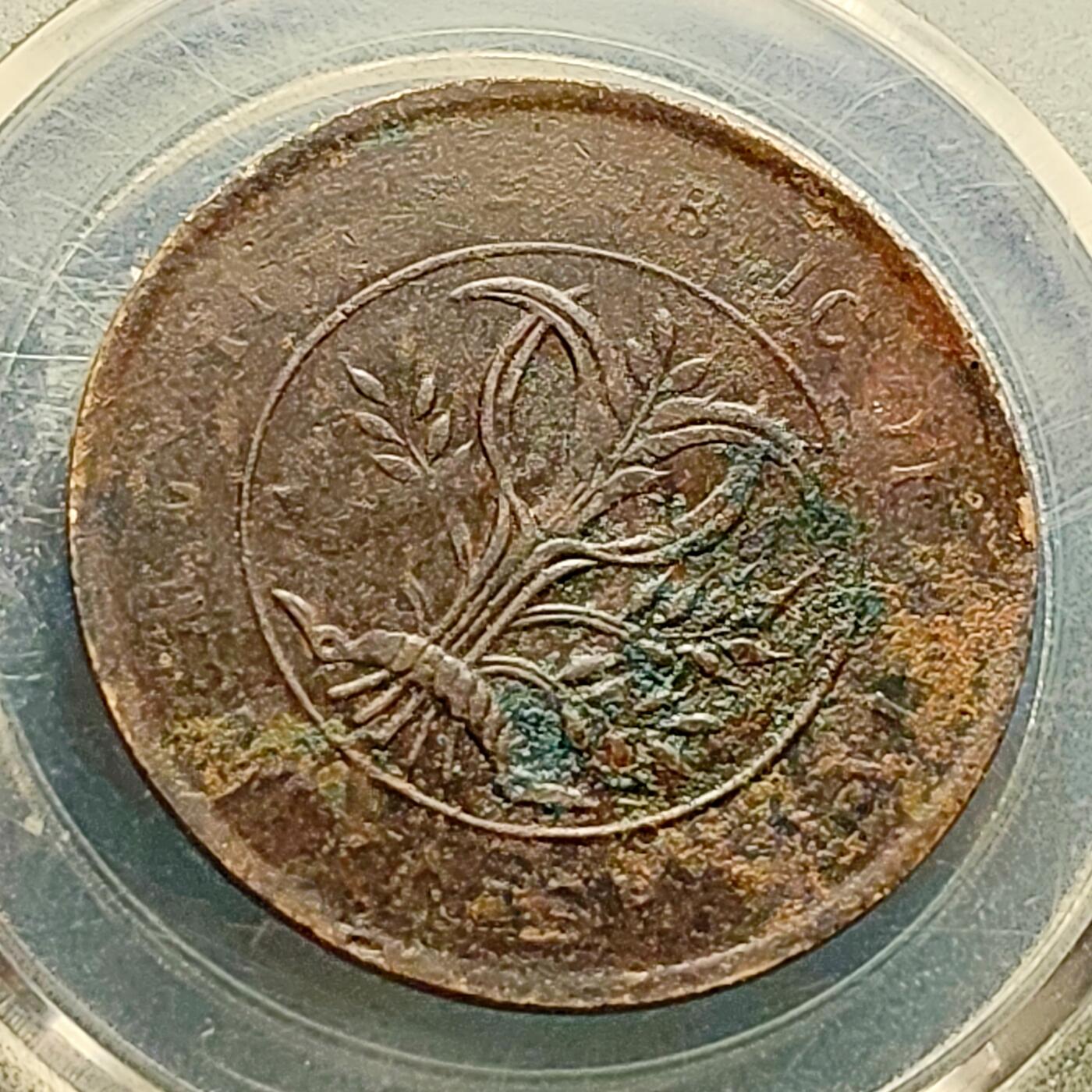 泉币菌-第220场-拍品多 请提前出价