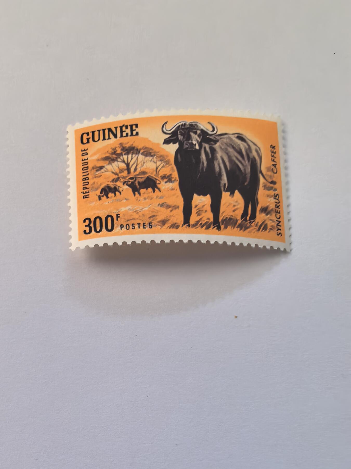 杂票 几内亚邮票 牛1枚新高值