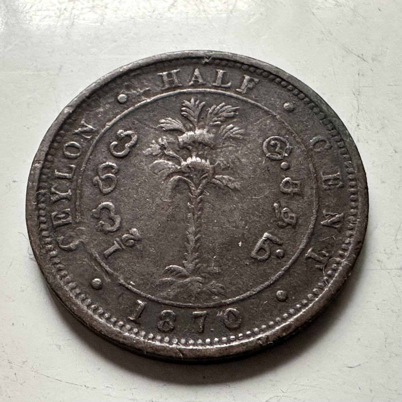 🌹外币初藏🌹🐯2026年第38场   每周二四六晚8️⃣点 世界钱币