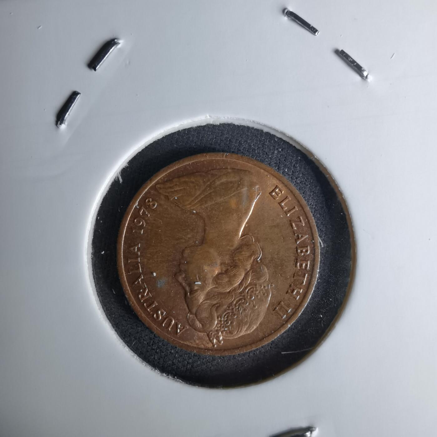 沼泽如烟--第1045场