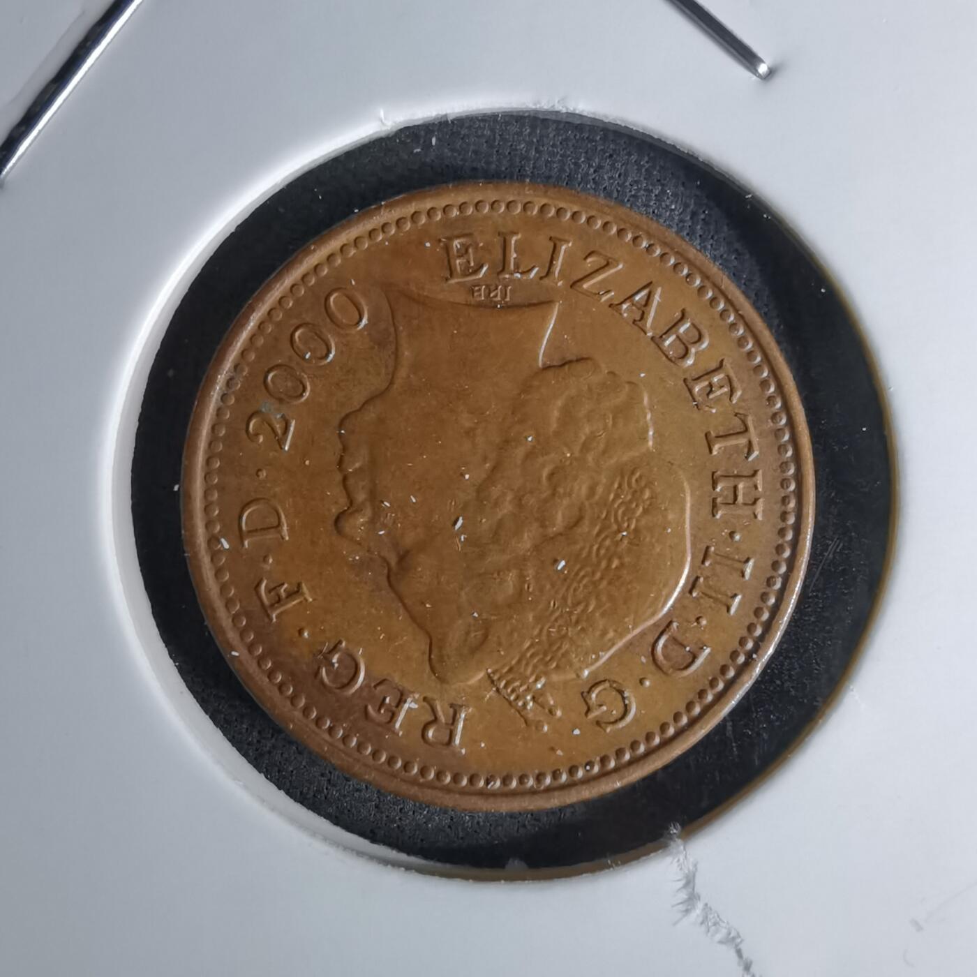 沼泽如烟--第1045场