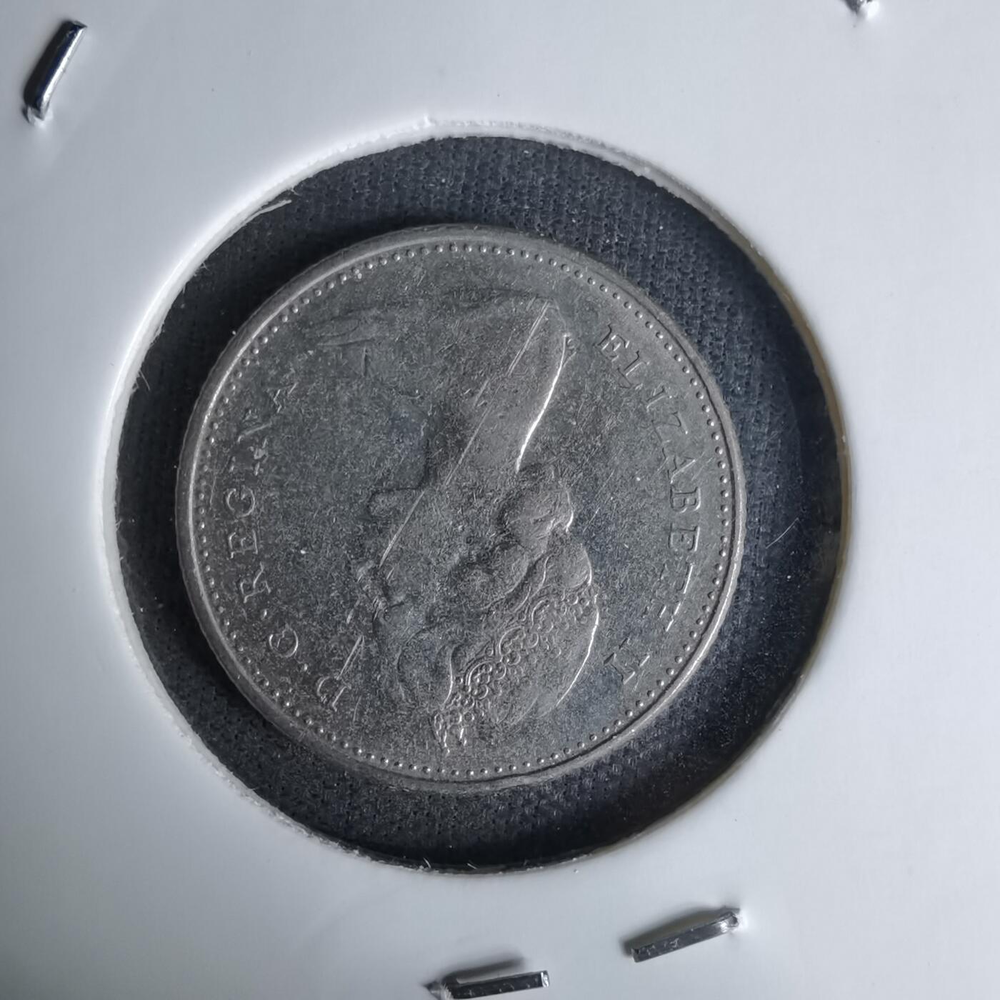 沼泽如烟--第1045场