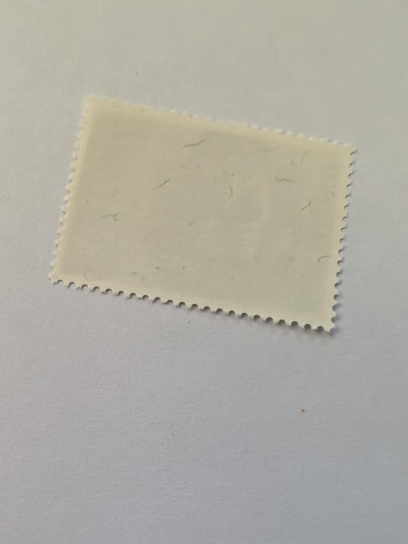 杂票 圣马力诺邮票 爱因斯坦1全新