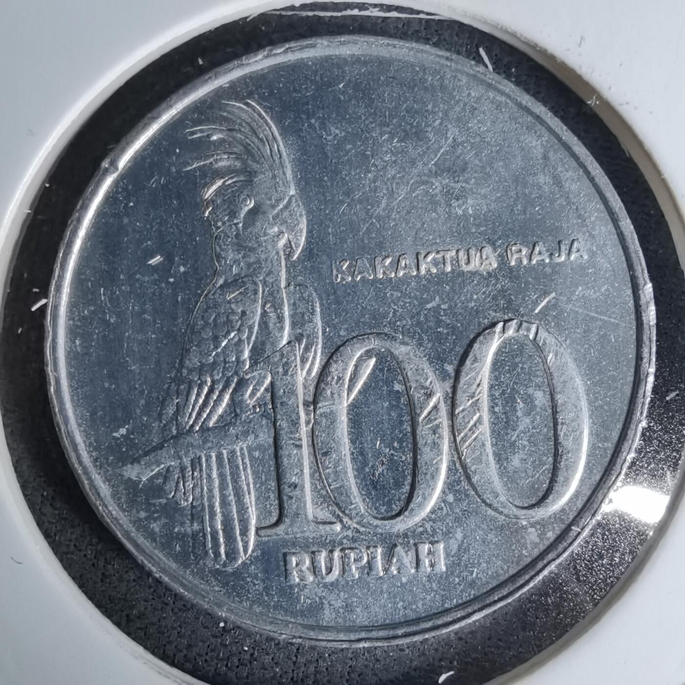 沼泽如烟--第1045场