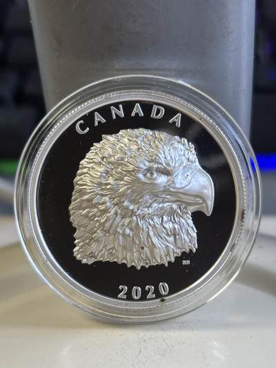 第197期拍卖 - 加拿大2020年骄傲的白头鹰立体高浮雕1盎司银币，9999银，31.62克，发行4000枚，有黑点