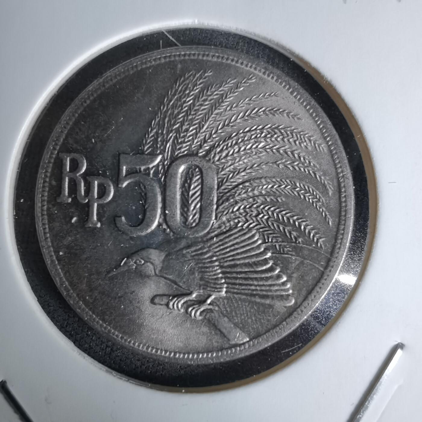 沼泽如烟--第1045场