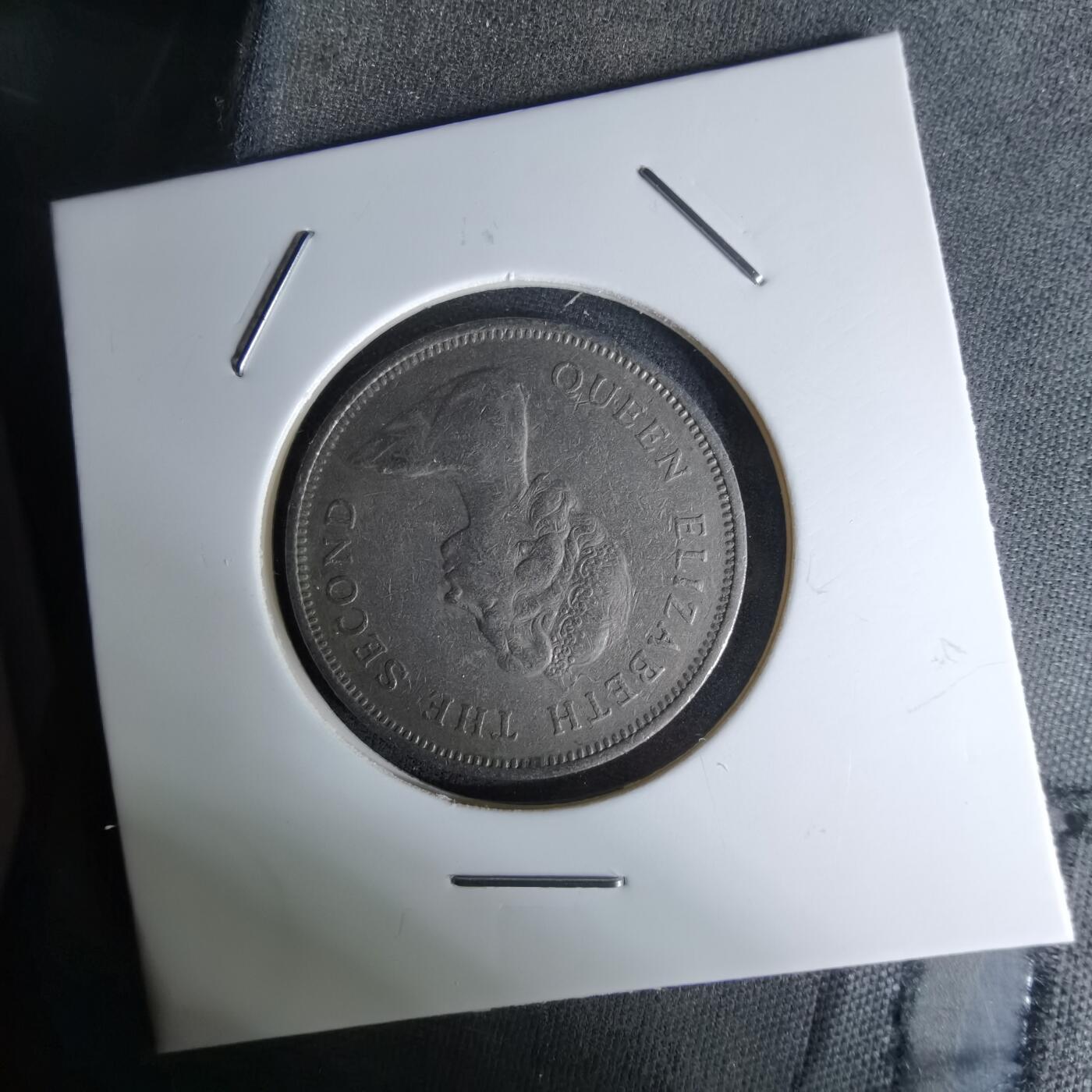 沼泽如烟--第1045场