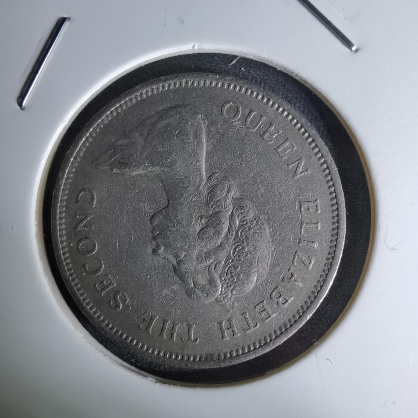 沼泽如烟--第1045场